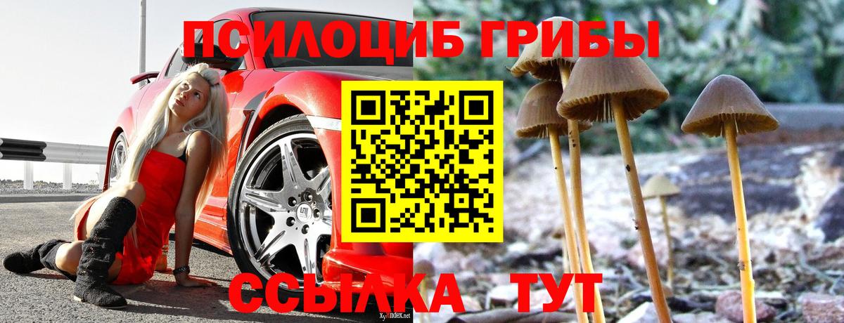 Галлюциногенные грибы MAGIC MUSHROOMS Татарск