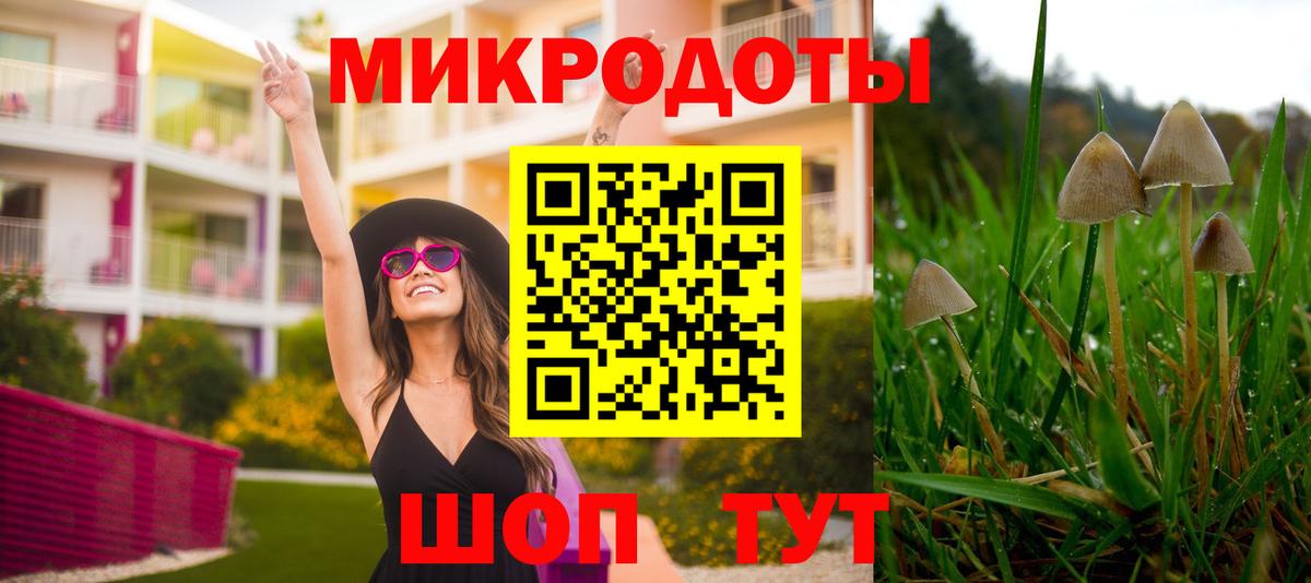 Татарск  Псилоцибиновые грибы мицелий  Псилоцибиновые грибы ЛСД  что такое   Вход с VPN 